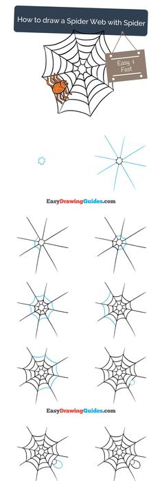 236x700 Drawing Spiderwebs Plan Drawing, Black Paper And Zentangles