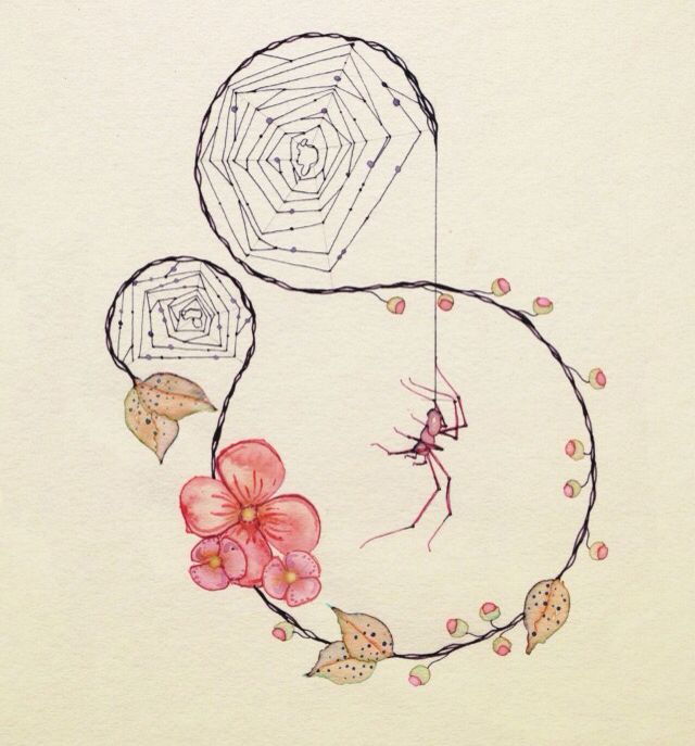 640x687 Spider Art. Work Spider And Sketches