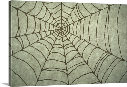 540x371 Spider Web Drawing Wall Art, Canvas Prints, Framed Prints, Wall