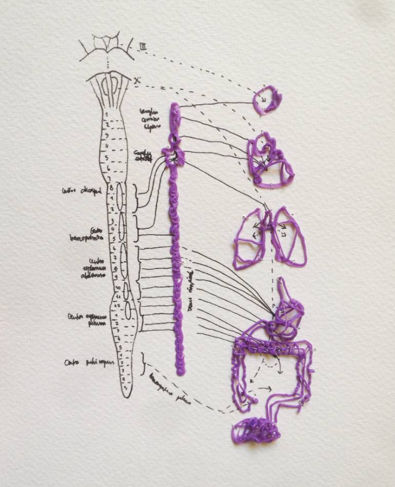 770x949 Saatchi Art Spine Drawing By Andrea Hauer