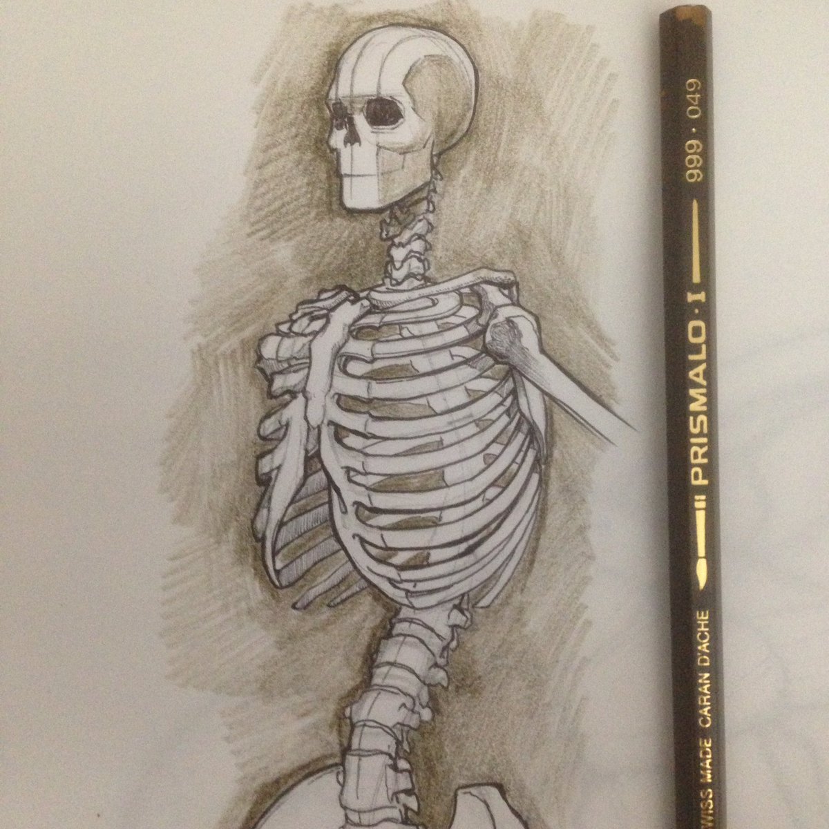 1200x1200 Tudor Morris On Twitter