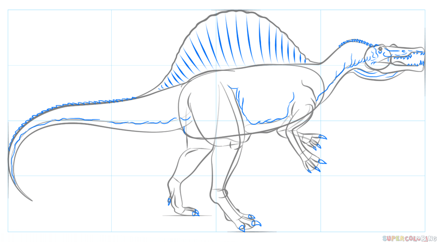 900x498 How To Draw A Spinosaurus Step By Step Drawing Tutorials