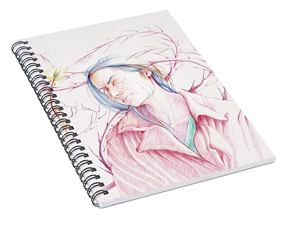 600x466 William Hart Mcnichols Spiral Notebooks