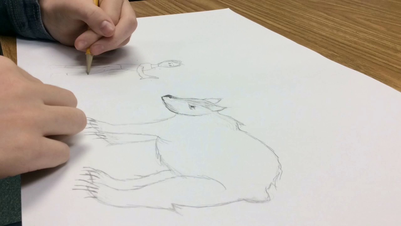 1280x720 Touching Spirit Bear Drawing
