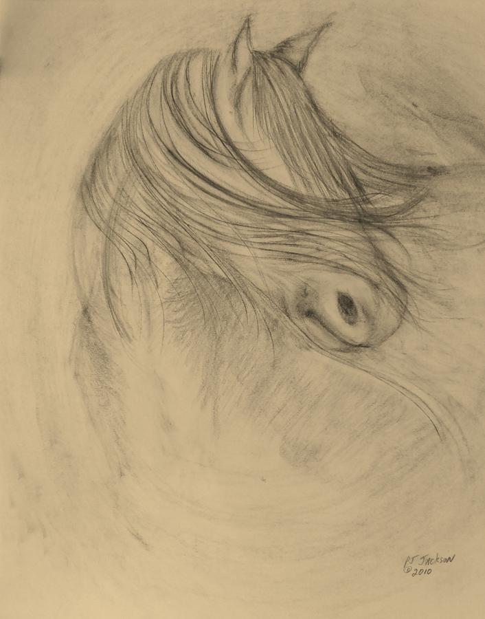 706x900 Spirit Horse Drawing By Pj Jackson