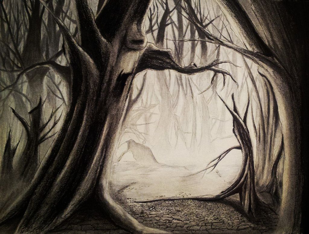 1024x775 Spooky Forest By Visualiart D6sk79y.jpg Creepy Forest
