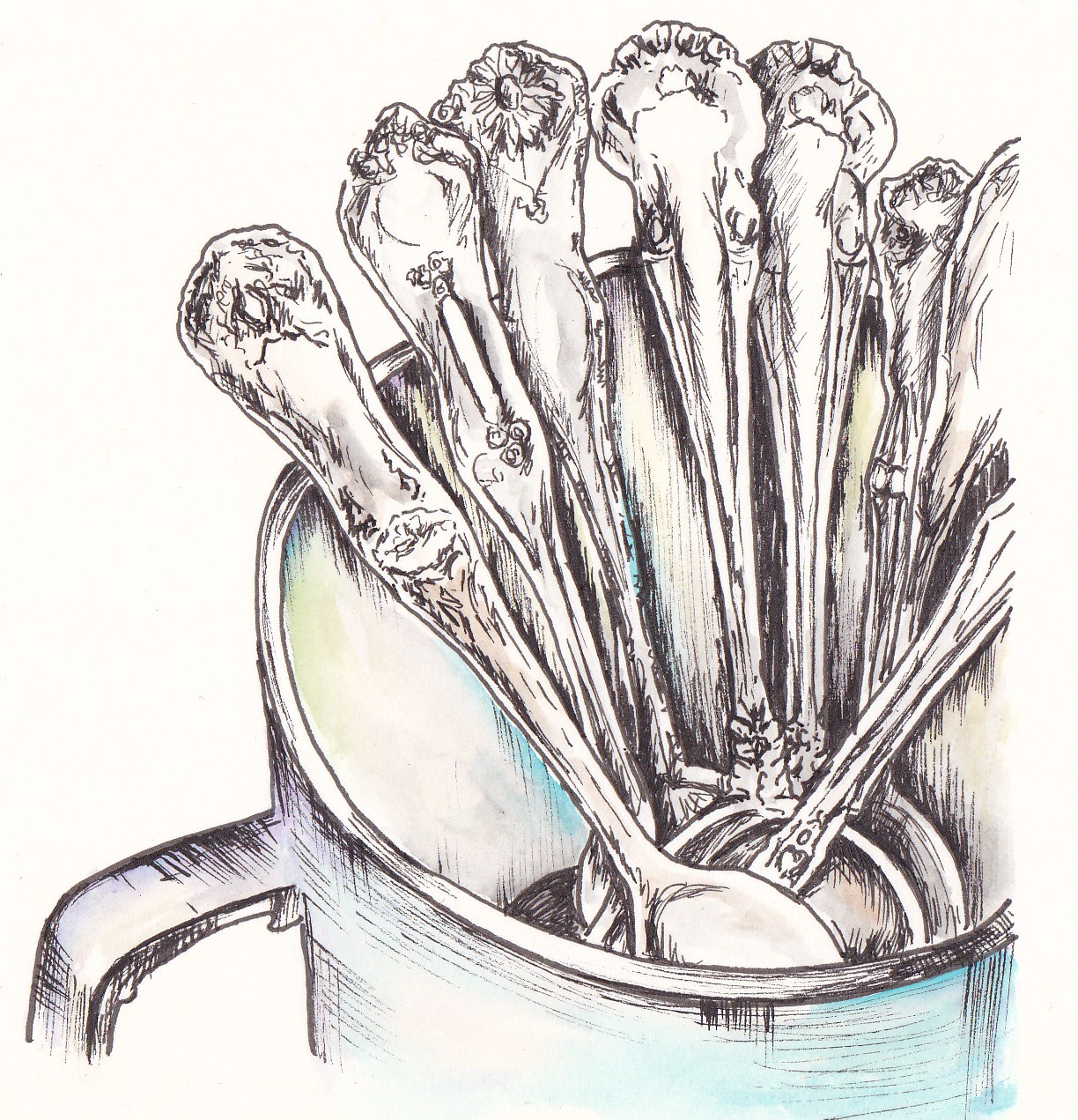 1224x1271 Watercolour And Micron Pen Drawing Of Decorative Vintage Teaspoons