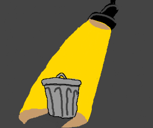 300x250 Trash Can In Spotlight