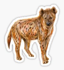 210x230 Spotted Hyena Drawing Stickers Redbubble