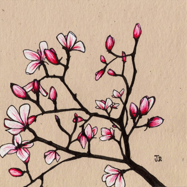 600x600 Magnolia Wall Art, Pink, Fuscia, Jessica Doyle, Black, Tree