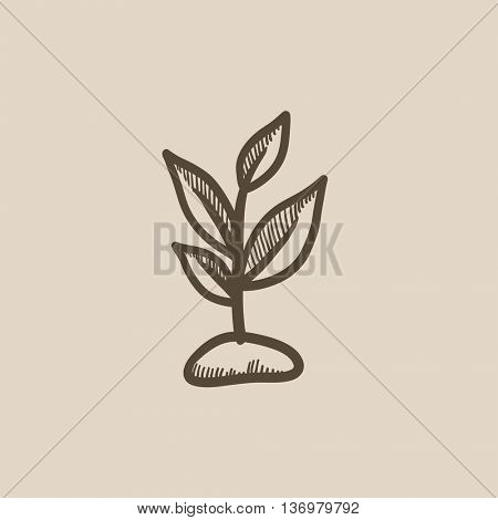 450x470 Sprout Vector Sketch Icon Isolated Vector Amp Photo Bigstock