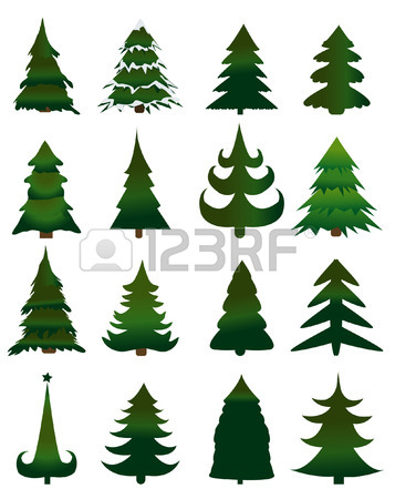 357x450 Pine Tree Drawing Stock Photos. Royalty Free Business Images