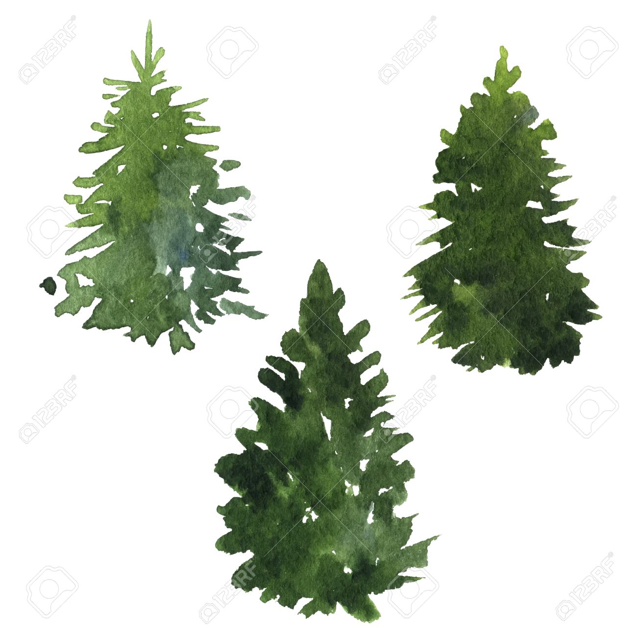1300x1300 Set Of Green Fir Trees Drawing By Watercolor, Isolated Forest