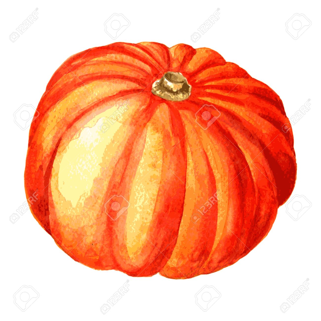 1300x1300 One Whole Orange Pumpkin Drawing By Watercolor, Hand Drawn Vector