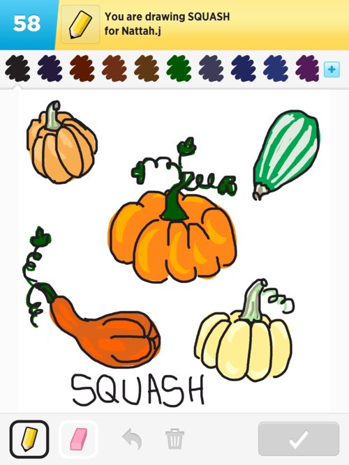 500x667 Squash Drawings
