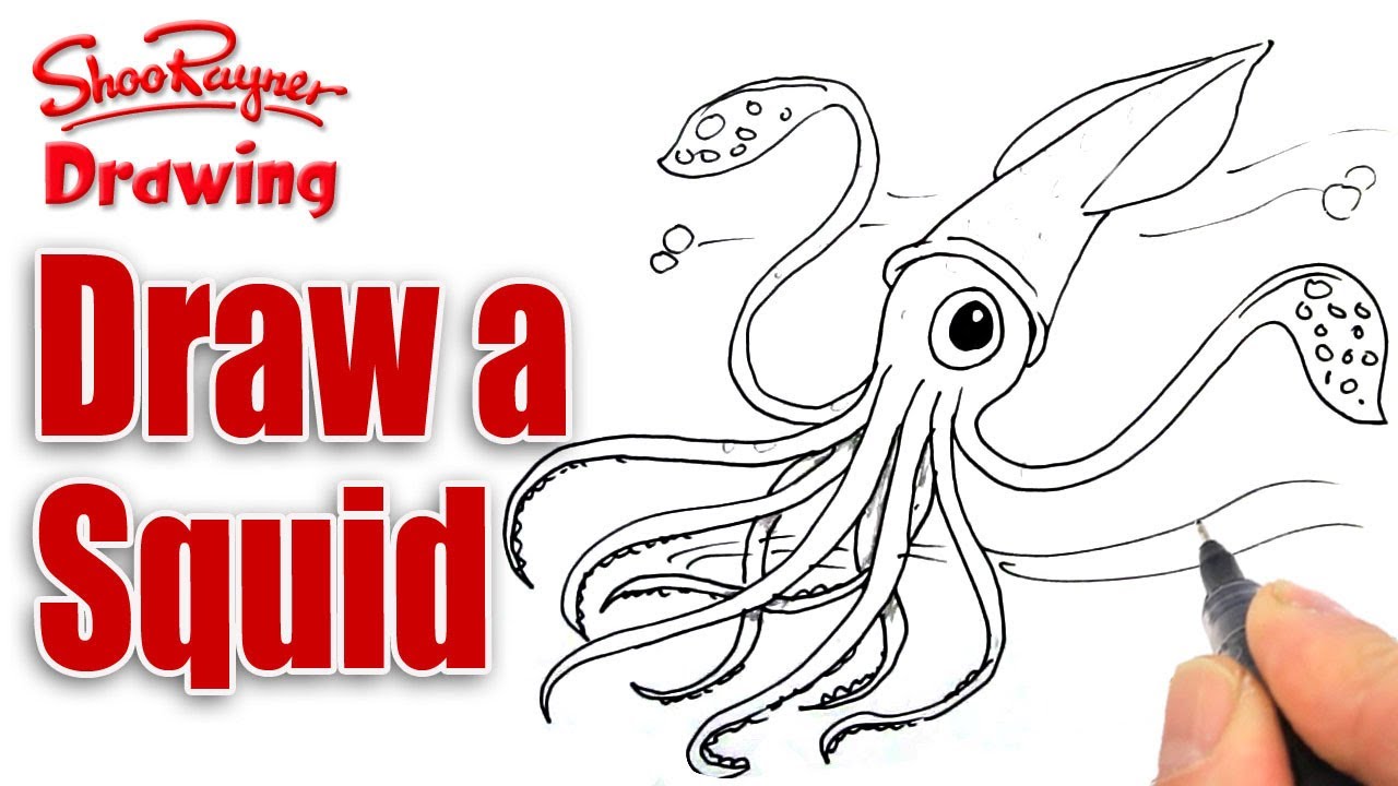 1280x720 How To Draw A Squid