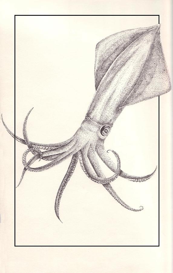 572x900 Squid Drawing By Arika Gloud