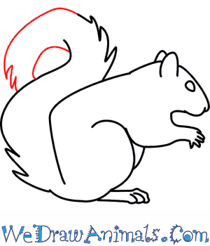 300x350 Squirrel 07.png