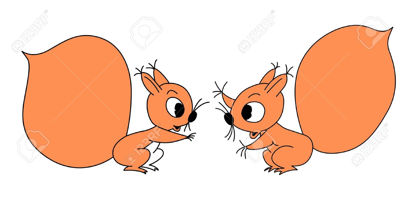 1300x652 Vector Drawing Squirrel On White Background Royalty Free Cliparts