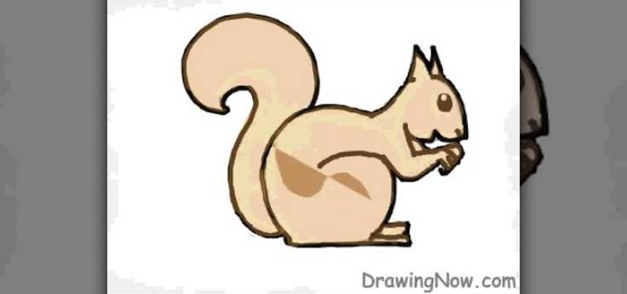1280x600 How To Draw A Squirrel Drawing Amp Illustration Wonderhowto
