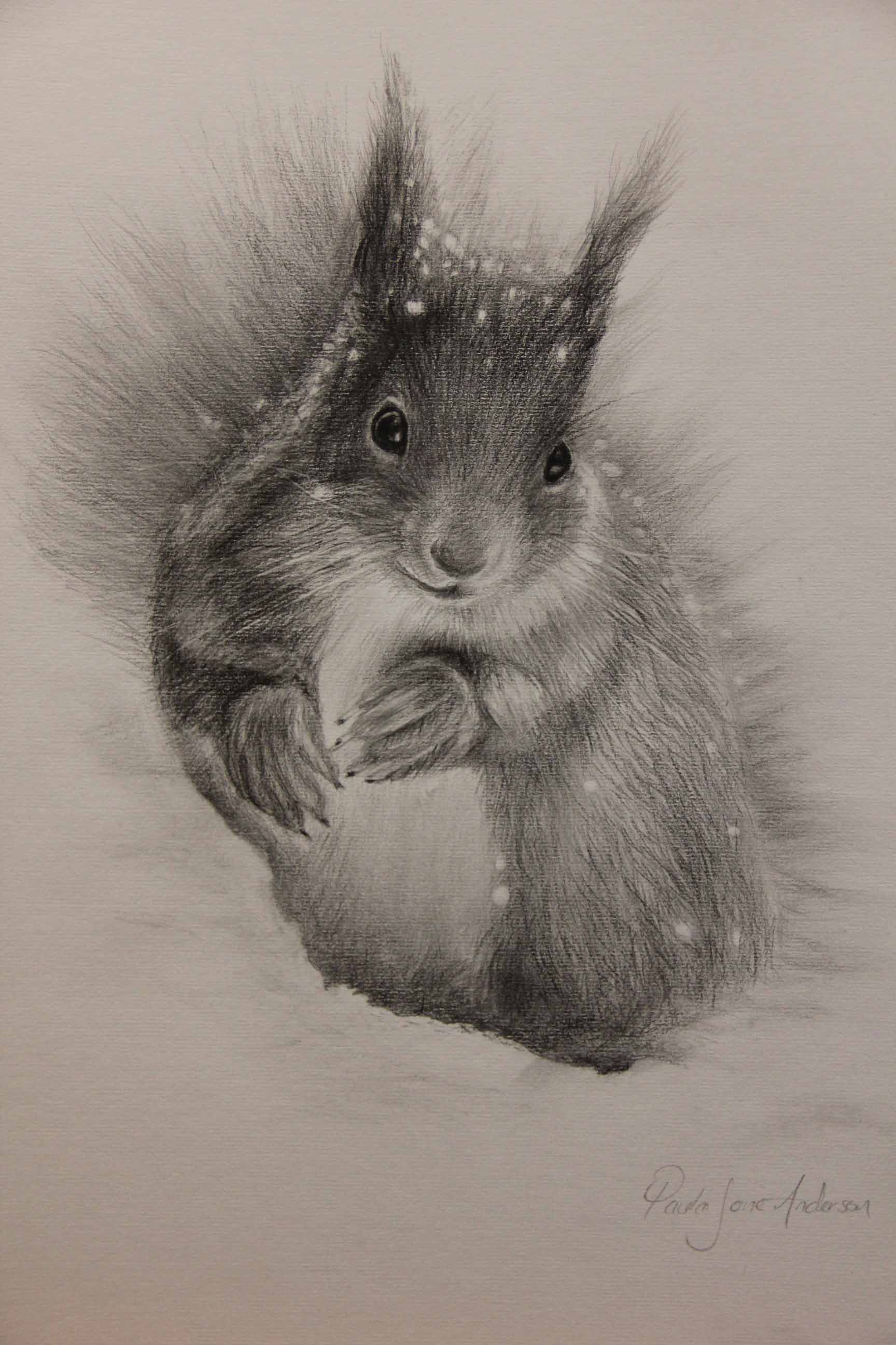 1728x2592 Snow Speckled Squirrel