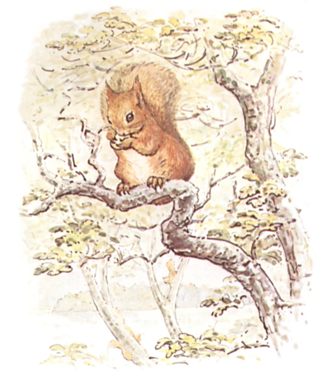 1068x1194 Public Domain Images 02 Drawing Of Squirrel Sitting On Branch