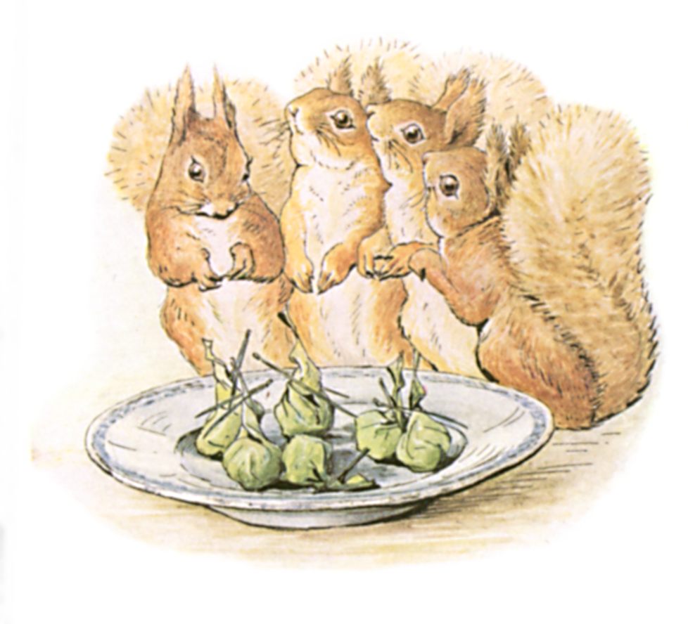 978x888 Public Domain Images 15 Color Drawing Of Four Squirrels Sitting