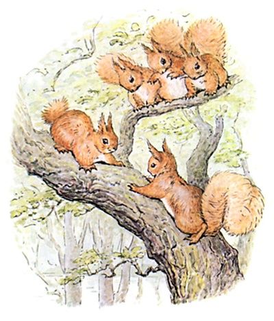 400x468 The Tale Of Squirrel Nutkin (Beatrix Potter) Baby Squirrels