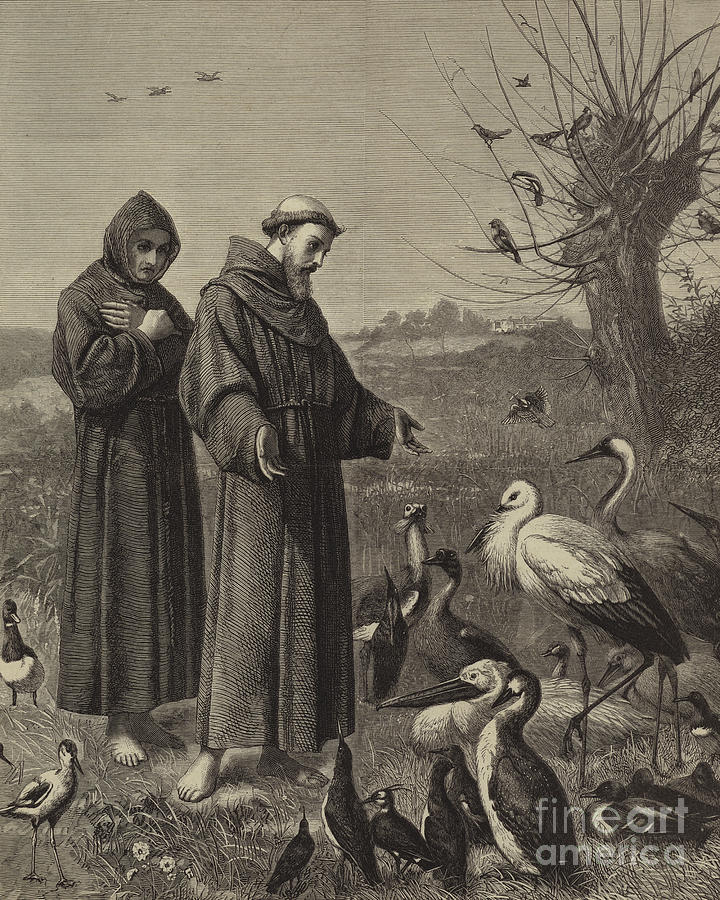 720x900 St Francis Preaches To The Birds Drawing By Henry Stacey Marks