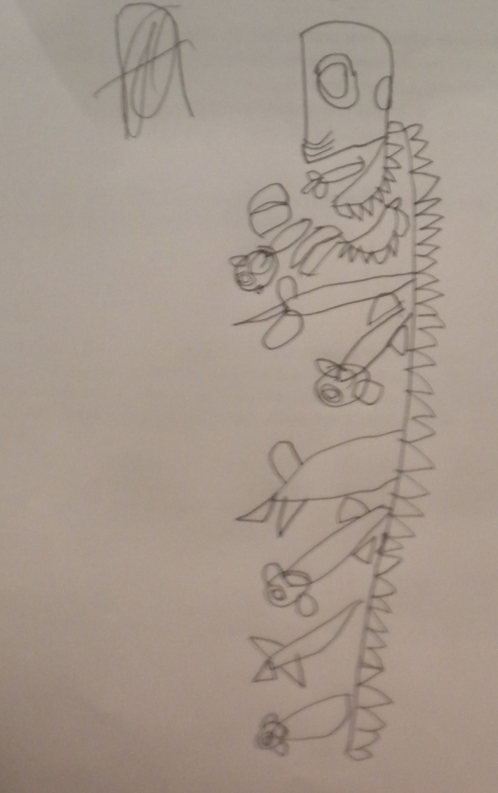 1612x2568 Drawing Head