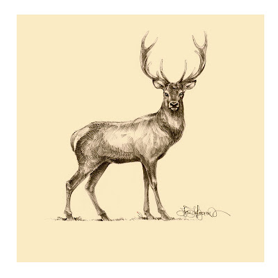 400x400 Deer Drawing By Igor Lukyanov To Be Used For Interior Design