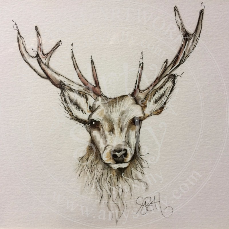 Stag Drawing at GetDrawings | Free download