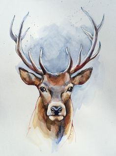 236x317 Drawing After Hunting