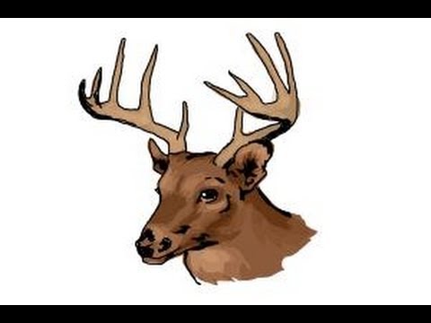 480x360 How To Draw A Deer Head
