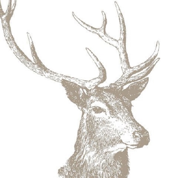 576x576 Stag Head Napkins