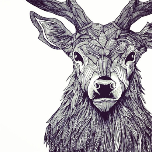 500x500 Deer Front Drawing