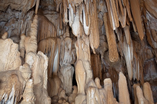 550x366 Science Fair Projects