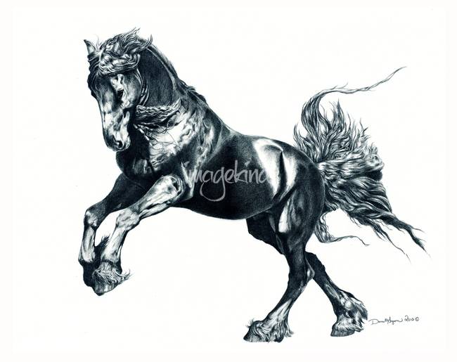 650x515 Drawing Stallion Artwork For Sale On Fine Art Prints