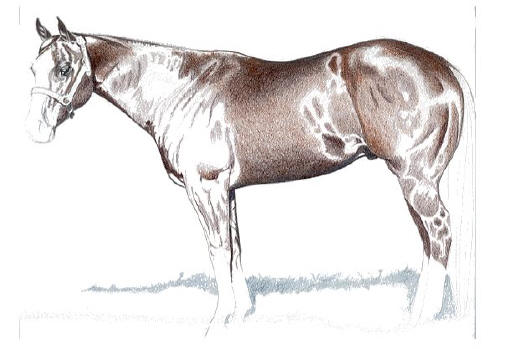 505x349 Guns On Deck Drawing Demonstration