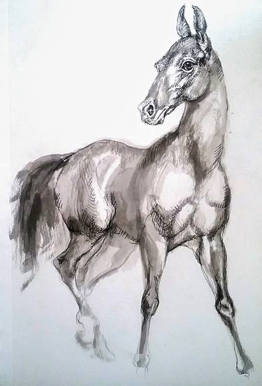 375x552 Horse Collection Saatchi Art