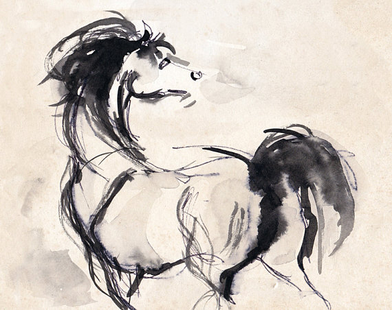 570x452 Horse Print Horse Art Horse Drawing Horse Ink Sketch