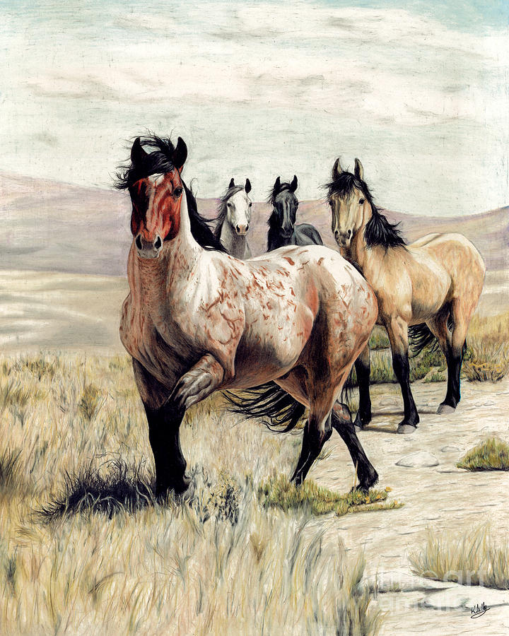 720x900 Red Roan Stallion Drawing By Kerry Kelly