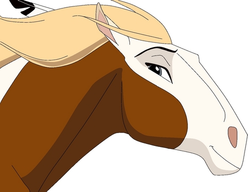 500x388 Spirit Stallion Of The Cimarron Images Rain Drawing Hd Wallpaper