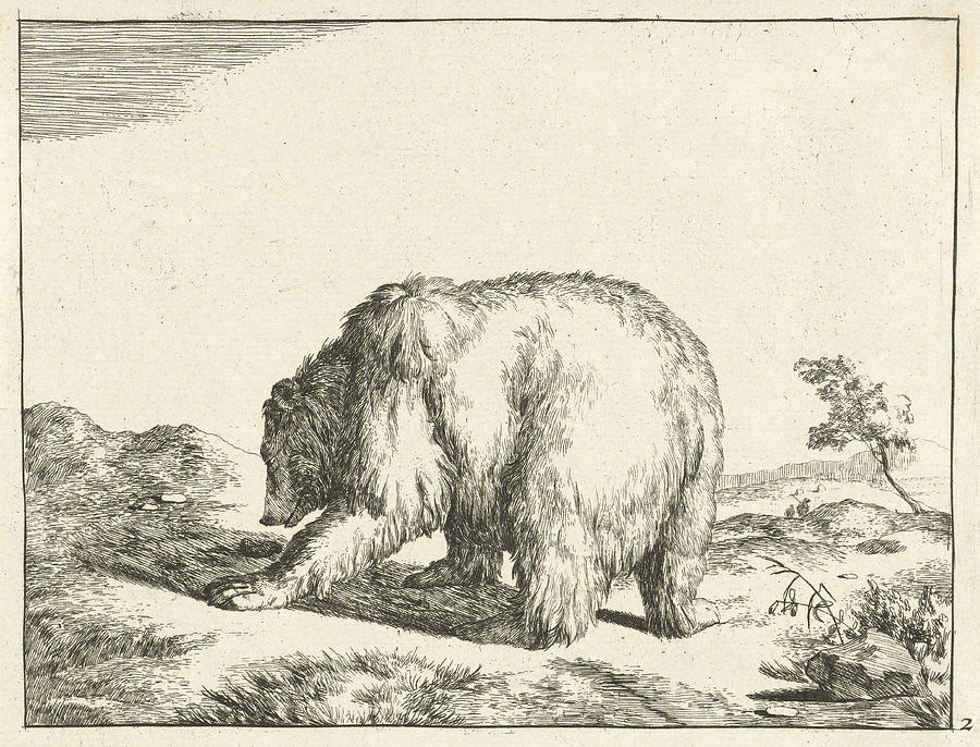 900x686 Standing Bear, Seen From Behind, Marcus De Bye Drawing By Marcus