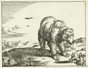 300x231 Standing Bear Drawings Fine Art America