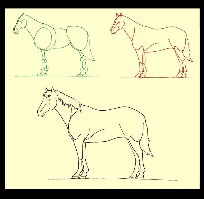 700x682 Most Beautiful Drawing In The World How To Draw A Horse Standing