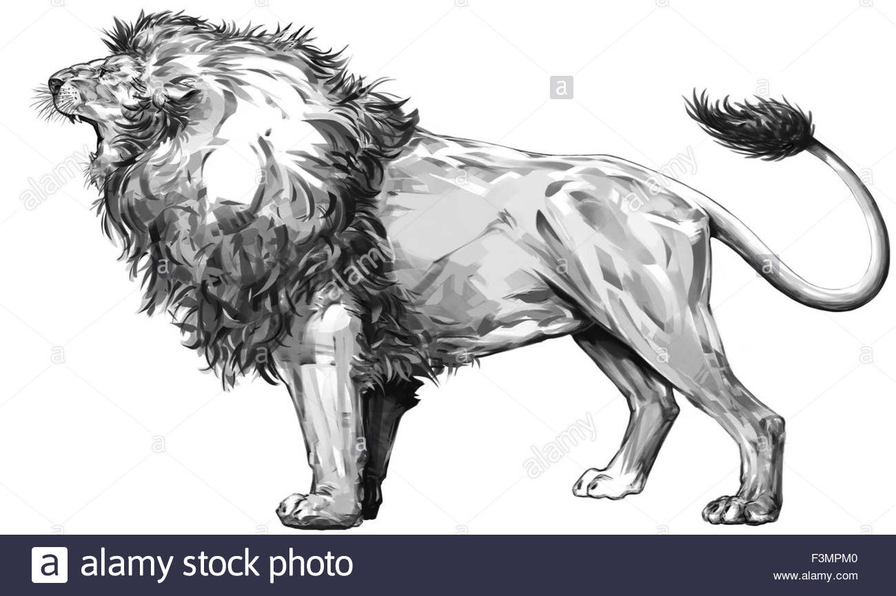 1300x865 Lion Standing And Roaring Stock Photo 88352656