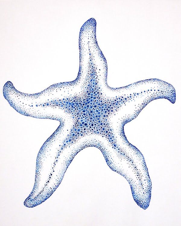 600x750 Starfish Drawing Blue Starfish Drawing Tattoos