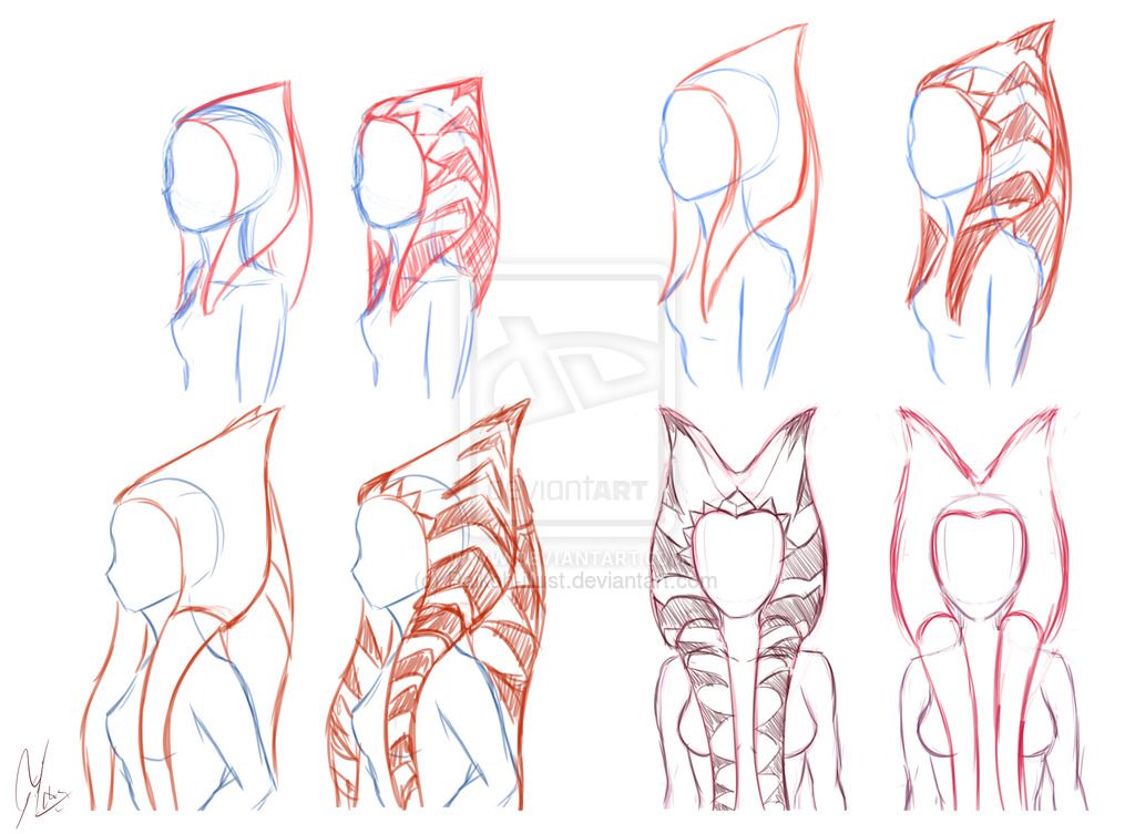 1024x753 Togruta Montrals And Lekku Studies Drawing Reference