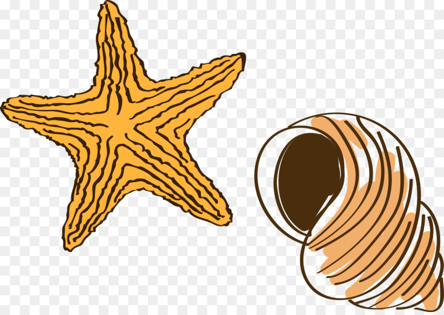 900x640 Cartoon Drawing Starfish